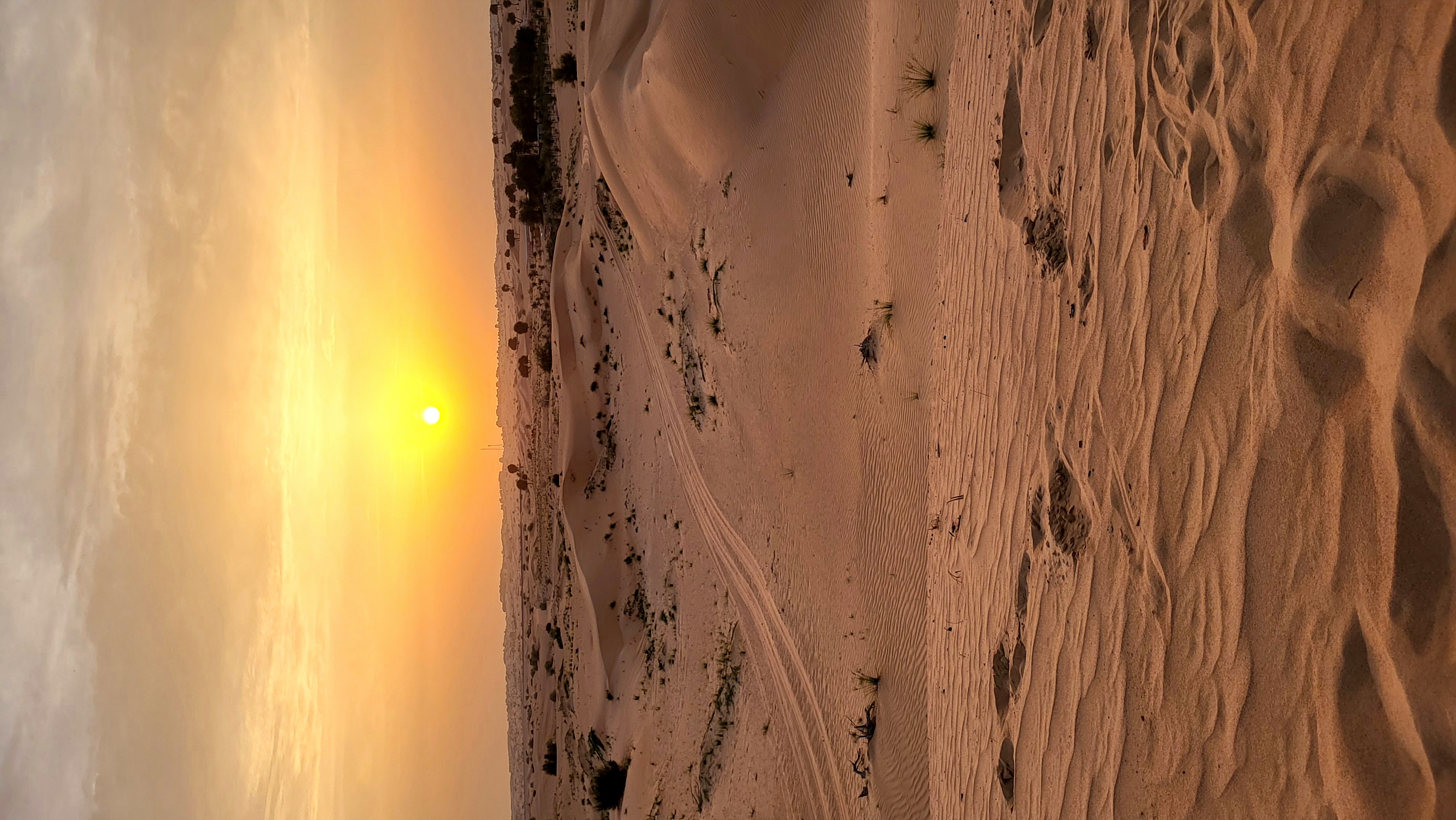 Sunset in the desert